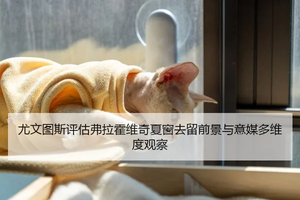 尤文图斯评估弗拉霍维奇夏窗去留前景与意媒多维度观察