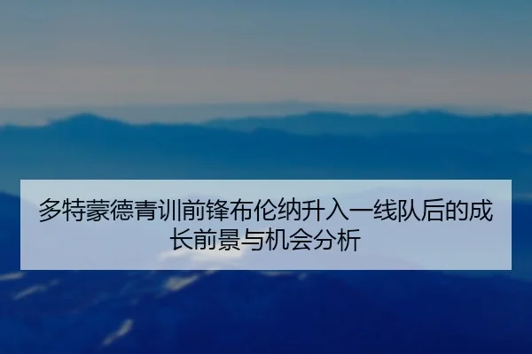 多特蒙德青训前锋布伦纳升入一线队后的成长前景与机会分析